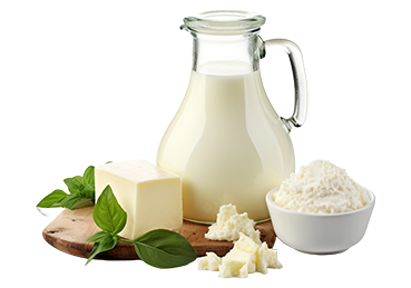 Süt Ürünleri